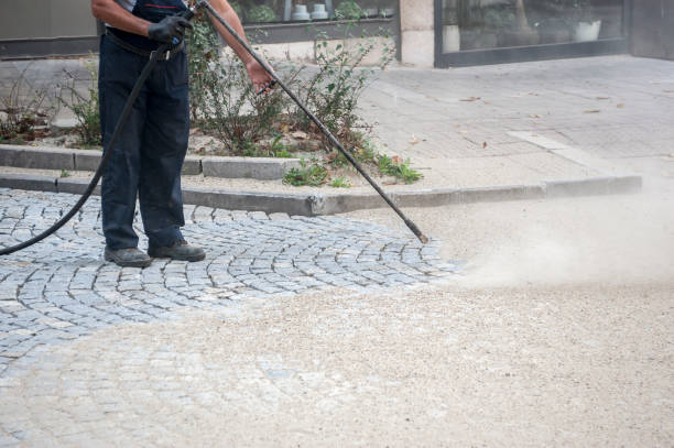 Best Building Exterior Pressure Washing in Ingalls Park, IL